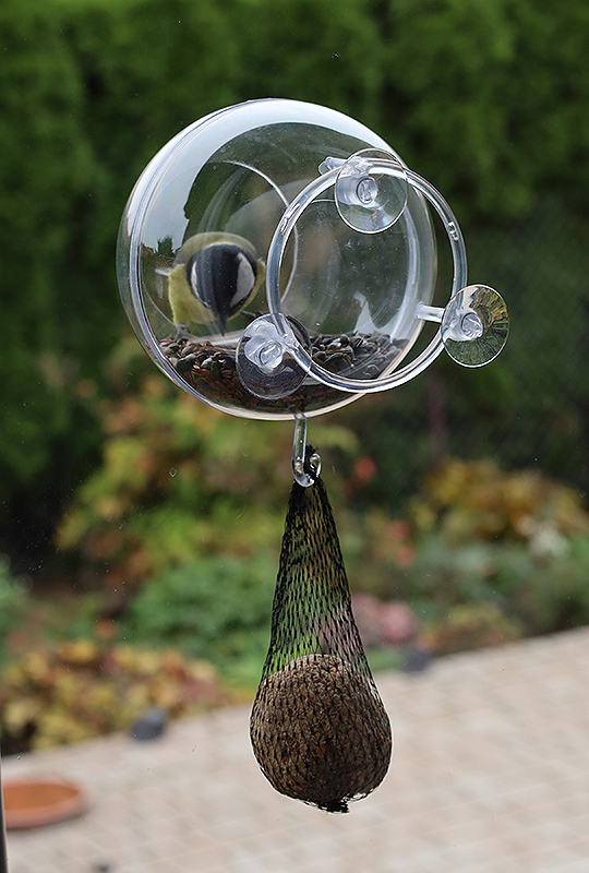 Karmnik Edukacyjny Zestaw 3 Karmnik edukacyjny, transparentny, na szybę, dla dzikich ptaków.