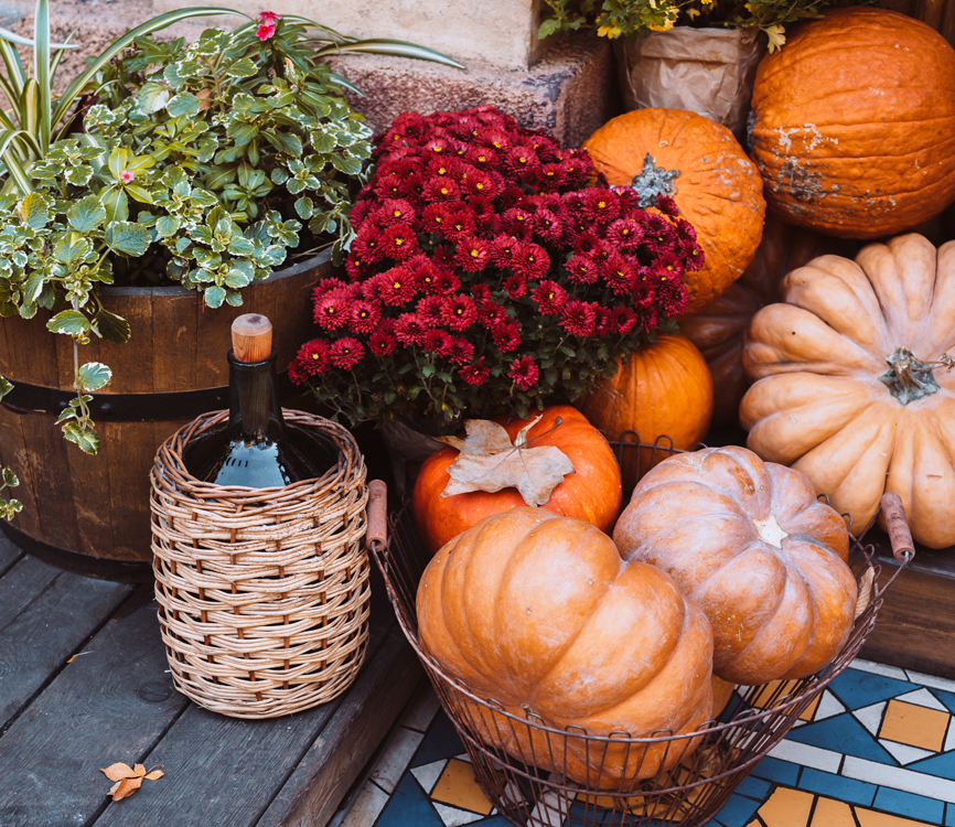 Jesienna kompozycja - dynie i astry