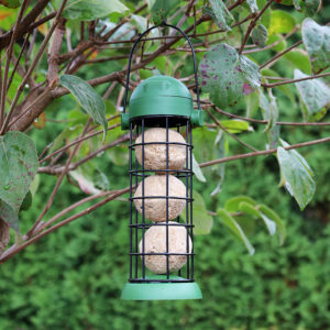 Karmnik na kule tłuszczowe zestaw