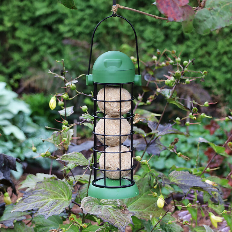 Karmnik tuba na kule tłuszczowe, wiszący