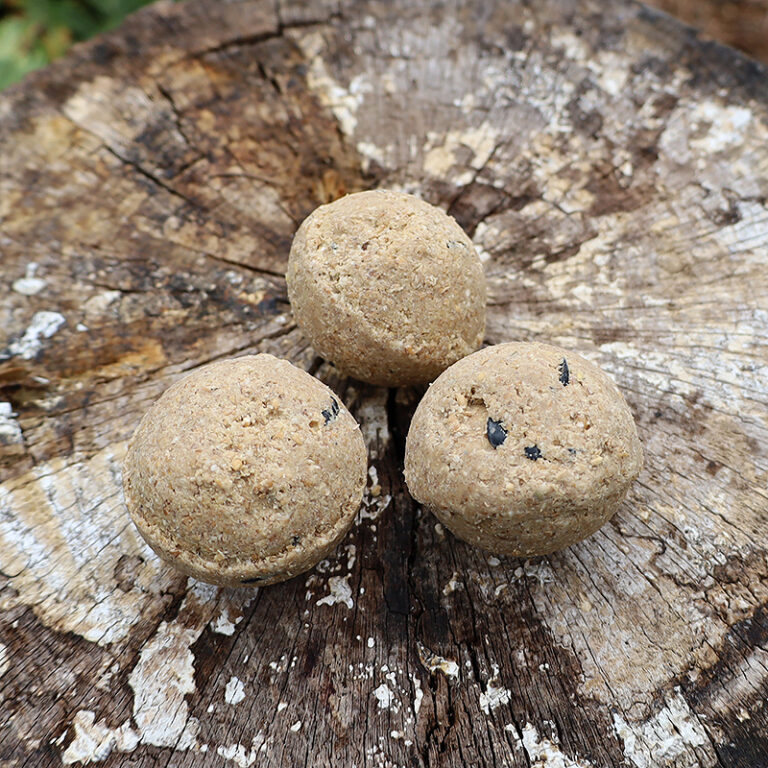 Kule tłuszczowe 3 sztuki do karmnika tuba