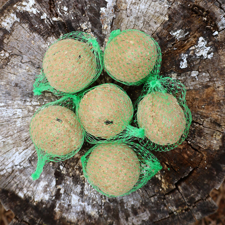 kule tłuszczowe 6 sztuk