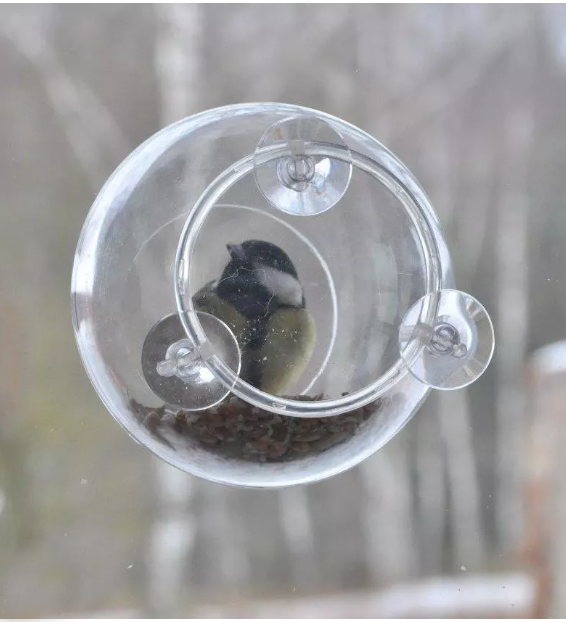 Karmnik Edukacyjny Zestaw 26 Karmnik edukacyjny dla dzikich ptaków