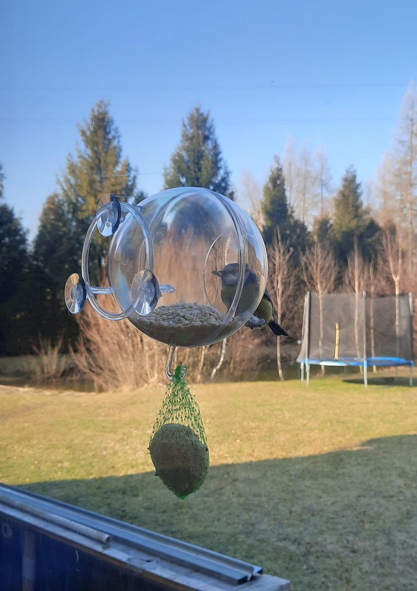 Karmnik Edukacyjny Zestaw 12 Karmnik edukacyjny dla dzikich ptaków