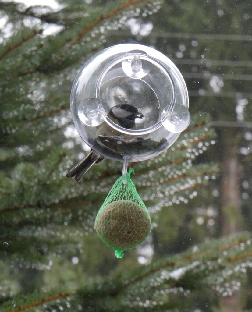 Karmnik Edukacyjny Zestaw 14 Karmnik edukacyjny dla dzikich ptaków