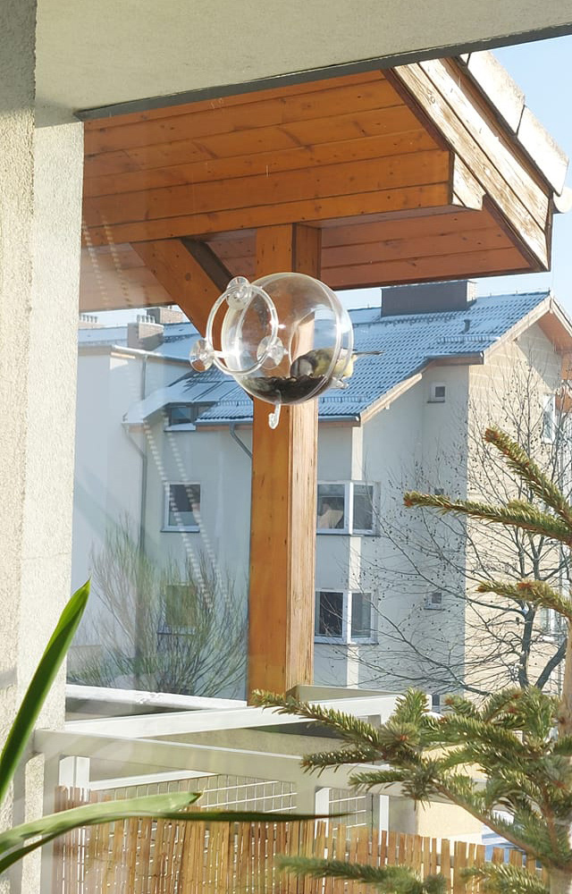 Karmnik Edukacyjny Zestaw 16 Karmnik edukacyjny dla dzikich ptaków