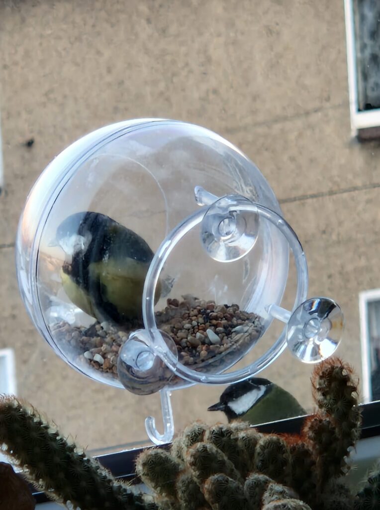 Karmnik Edukacyjny Zestaw 15 Karmnik edukacyjny dla dzikich ptaków