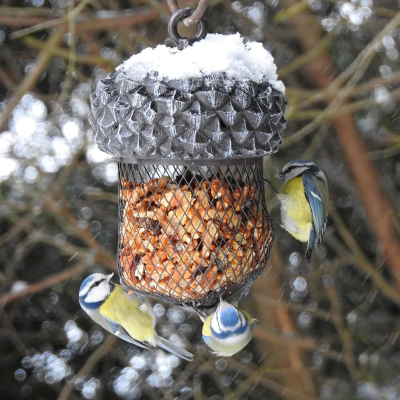 Karmnik Żołądź, zestaw z orzeszkami