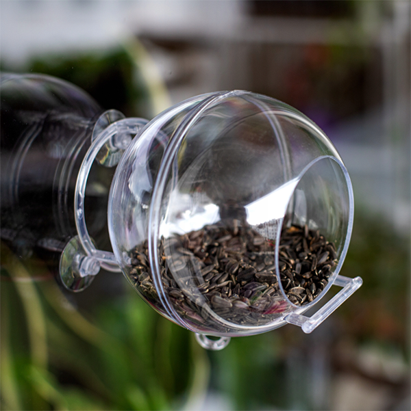 Karmnik Edukacyjny Zestaw 4 Karmnik edukacyjny na szybę, transparentny, dla małych ptaków