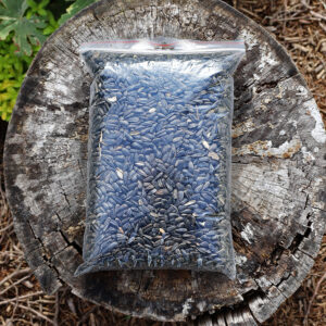 Słonecznik pastewny niełuskany 500g