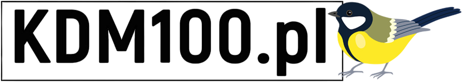 KDM100.pl prostokątne logo sklepu z sikorką