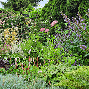 Witaj w moim ogrodzie ! 52 Witaj w moim ogrodzie