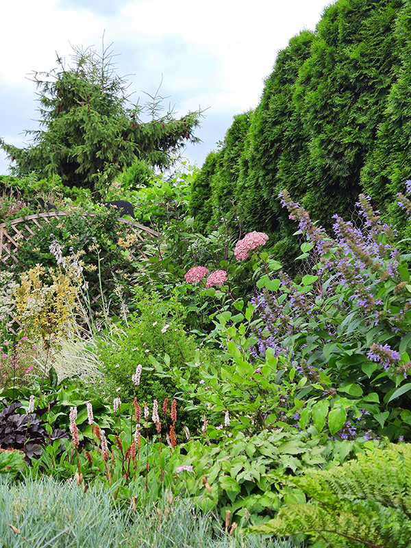 Witaj w moim ogrodzie