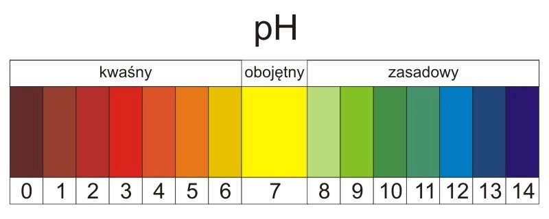 Elektroniczny kwasomierz ogrodniczy - pH gleby