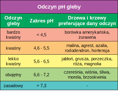 Elektroniczny kwasomierz ogrodniczy - pomiar pH gleby