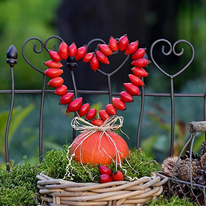 Jesienne ozdoby ogrodowe 41 Jesienne ozdoby ogrodowe