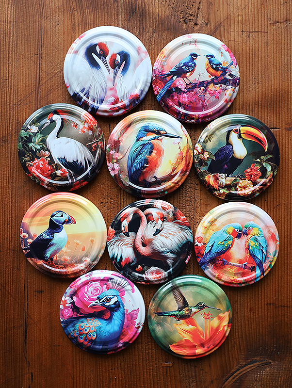 Zakrętki Ptaki Małe fi66 20szt