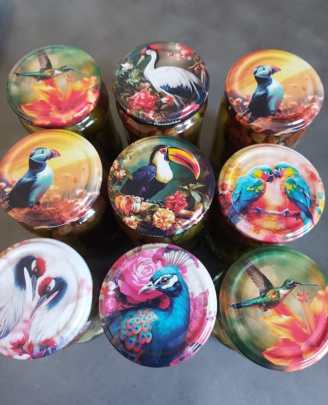 Zakrętki Ptaki Małe fi66 20szt