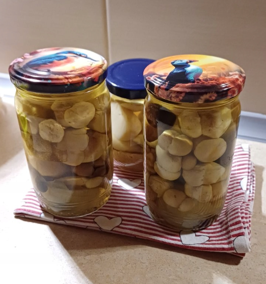 Zakrętki Ptaki Małe fi66 20szt