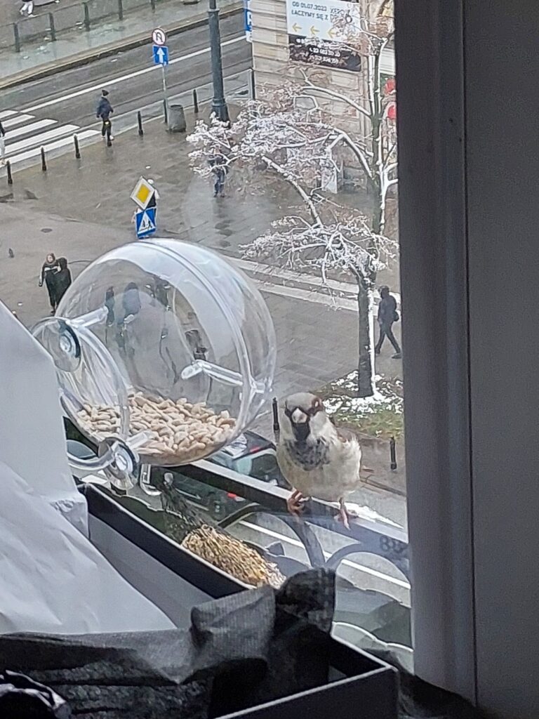 Karmnik Edukacyjny Zestaw 34 Satysfakcja gwarantowana